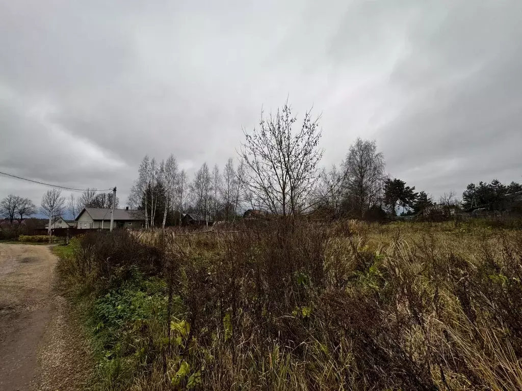 Участок в Московская область, Солнечногорск городской округ, д. ... - Фото 1