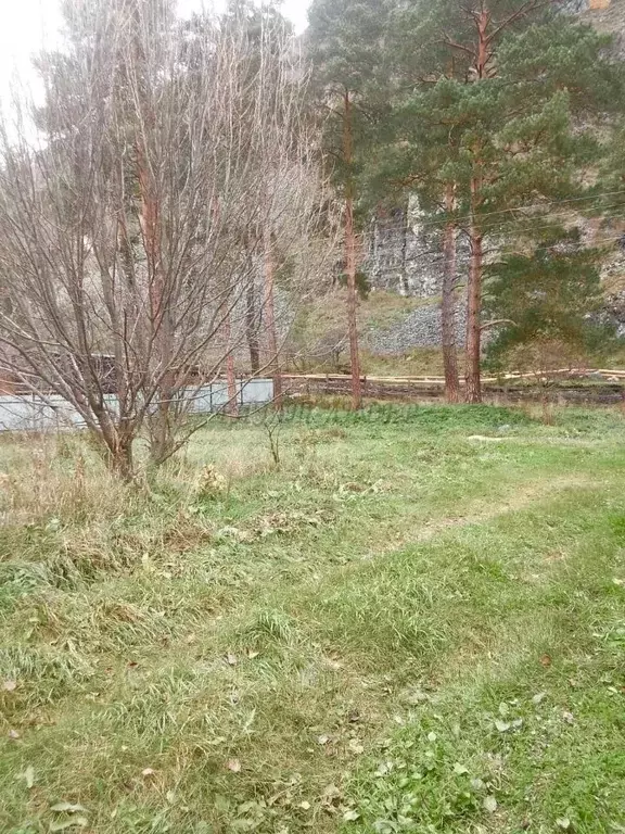 Участок в Алтай, Чемальский район, Узнезинское с/пос, с. Узнезя  (10.7 ... - Фото 1