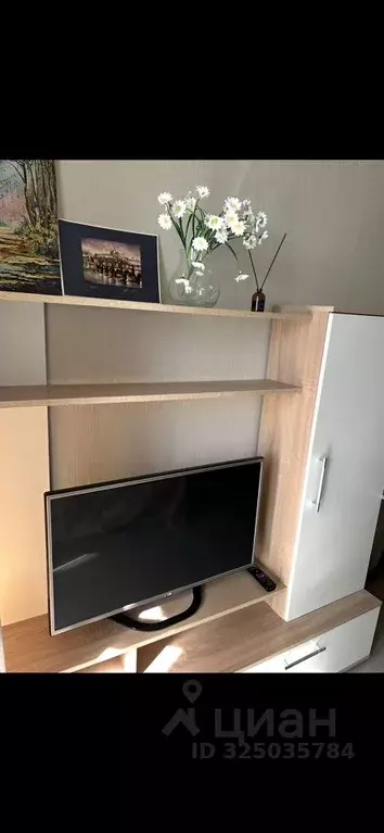 Студия Московская область, Балашиха ул. Яганова, 3 (20.0 м) - Фото 2