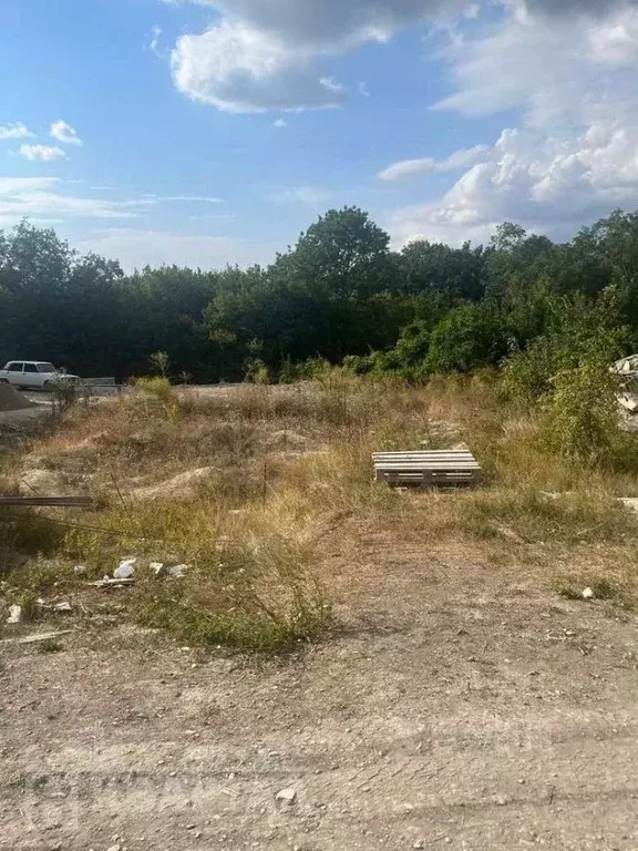 Участок в Краснодарский край, Новороссийск городской округ, с. ... - Фото 1