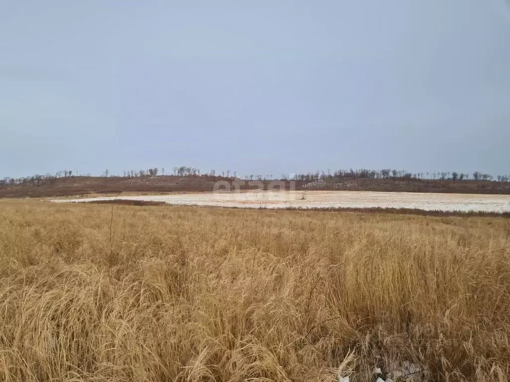 Участок в Амурская область, Благовещенск Игнатьевское ш. (1090.0 сот.) - Фото 1
