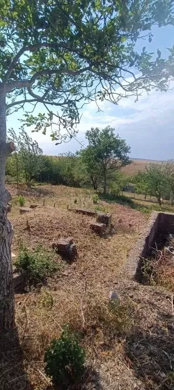 Участок в Крым, Симферопольский район, Добровское с/пос, Медик-Плюс ... - Фото 1