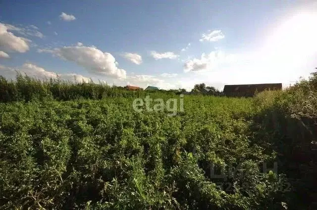 Участок в Башкортостан, Мелеузовский район, Зирганский сельсовет, д. ... - Фото 1
