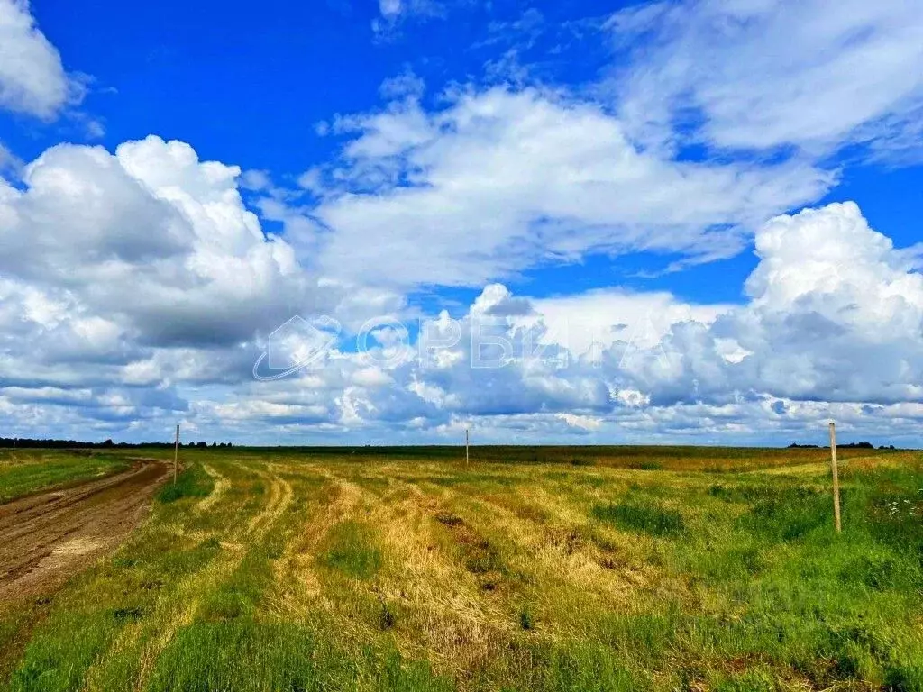 Участок в Тюменская область, Тюменский район, Новокаменский кп  (47.0 ... - Фото 0