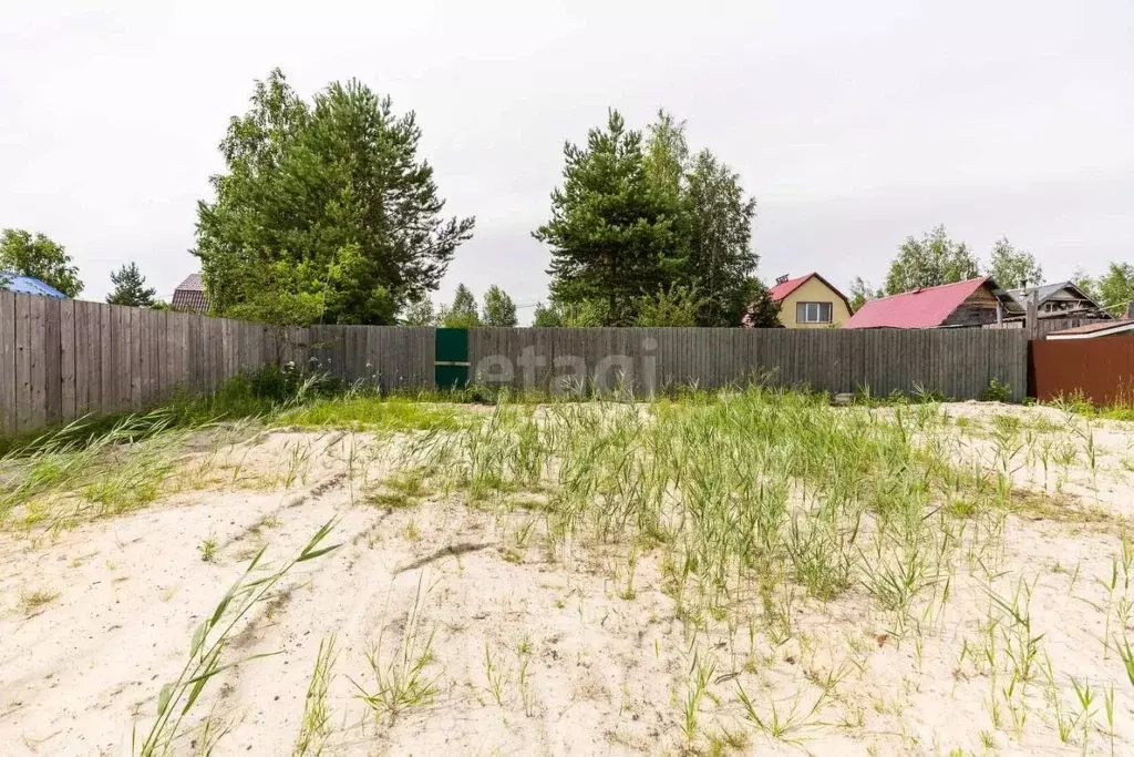 Участок в Ханты-Мансийский АО, Сургут Чернореченский садовое ... - Фото 1