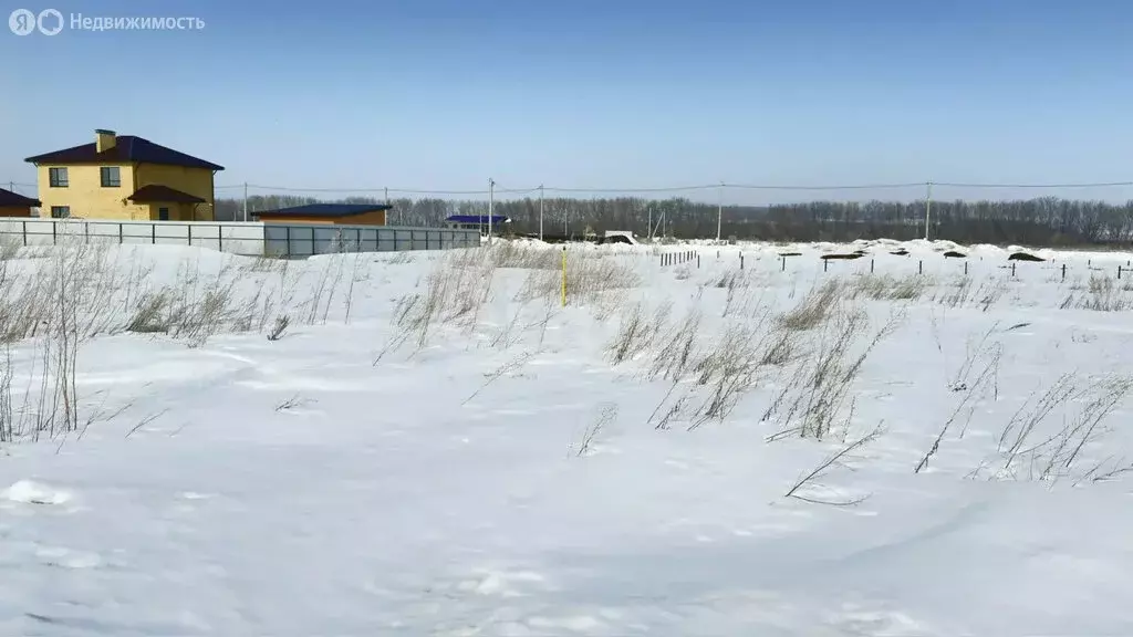 Участок в Альметьевск, улица Дружбы Народов (6 м) - Фото 2