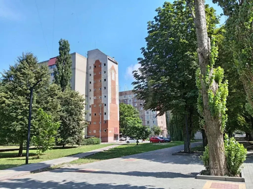 3-к кв. Курская область, Курчатов ул. Энергетиков, 5 (100.0 м) - Фото 0
