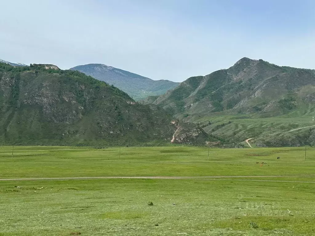Участок в Алтай, Чемальский район, с. Куюс Центральная ул. (10.0 сот.) - Фото 1