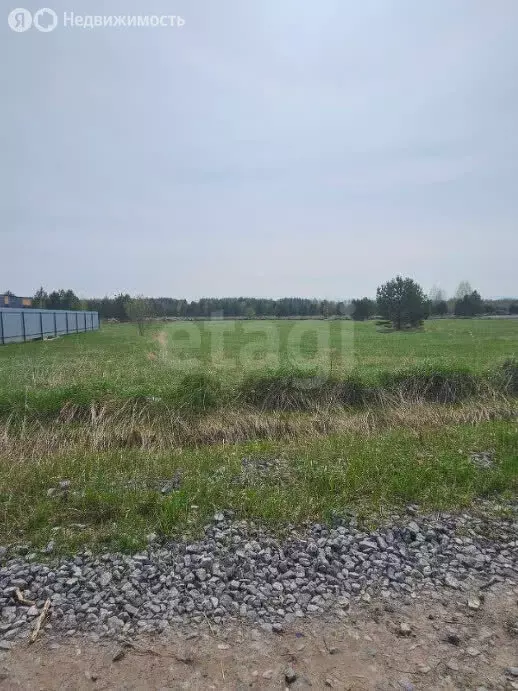 Участок в Тюмень, СНТ Берёзка (10 м) - Фото 1