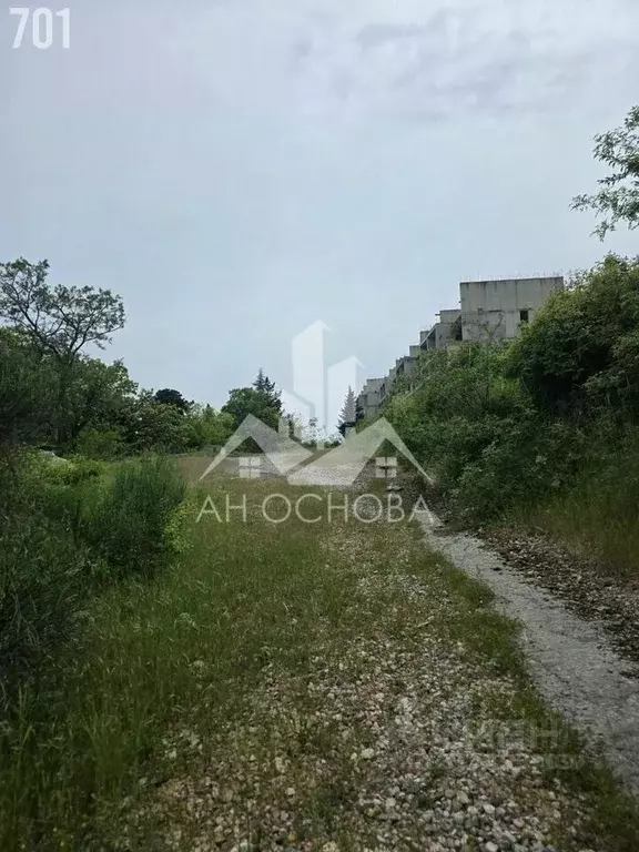 Участок в Крым, Ялта муниципальный округ, Гурзуф пгт  (235.0 сот.) - Фото 2