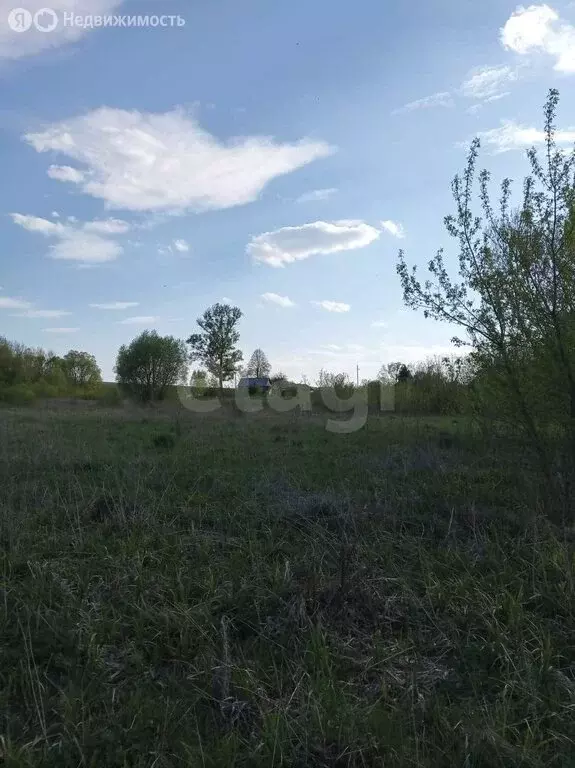 Участок в село Коньшино, Центральная улица (7 м) - Фото 1