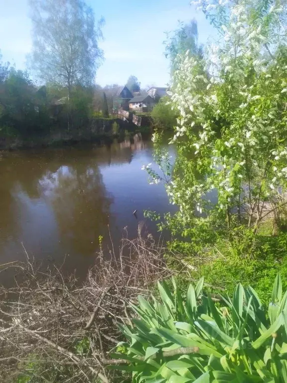 Участок в Московская область, Домодедово Восход СНТ,  (6.2 сот.) - Фото 1