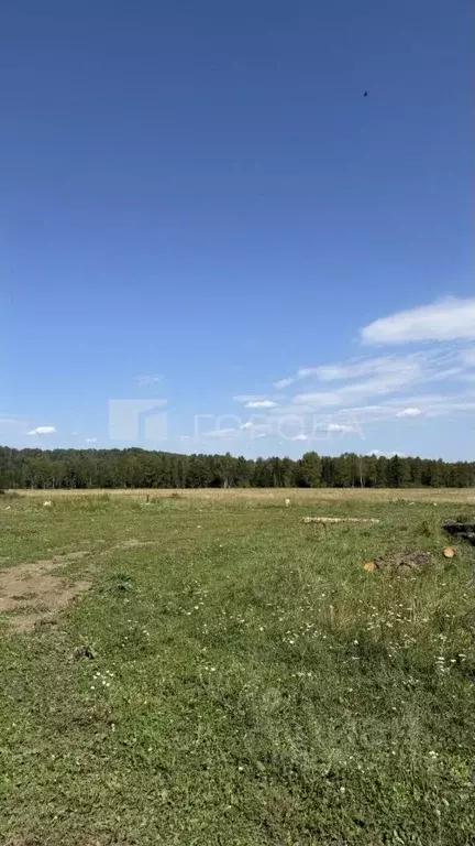 Участок в Алтай, Турочакский район, с. Дмитриевка Рабочая ул. (18.0 ... - Фото 1