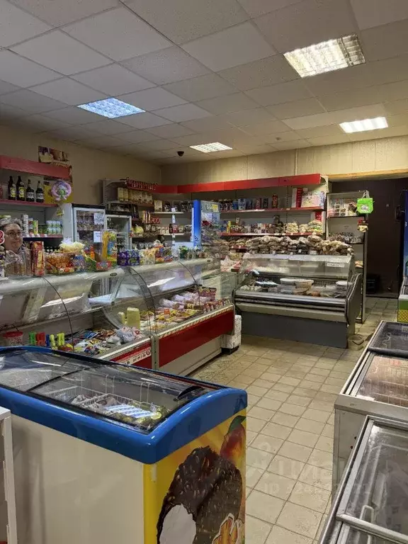 Помещение свободного назначения в Московская область, Воскресенск ... - Фото 2