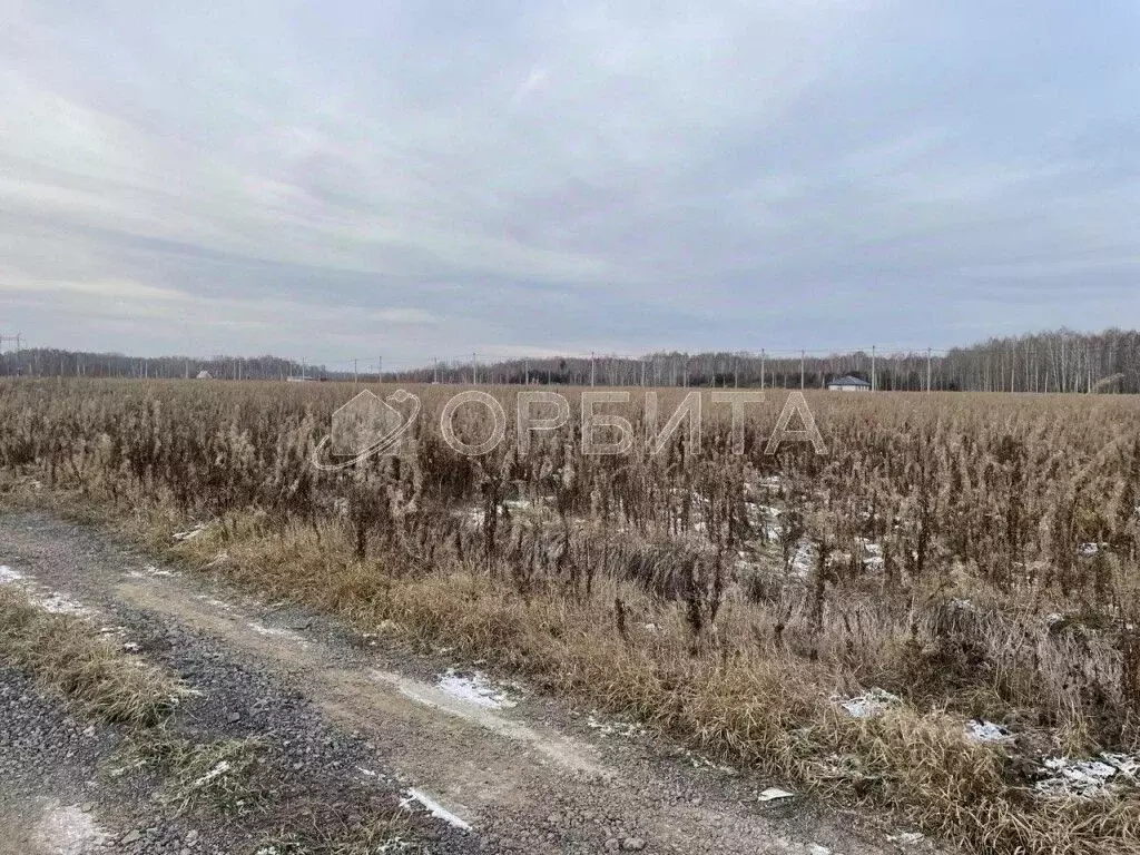 Участок в Тюменская область, Тюменский район, с. Кулига ул. ... - Фото 0