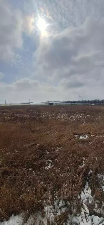 Участок в Краснодарский край, Анапа муниципальный округ, Черный хут. ... - Фото 1