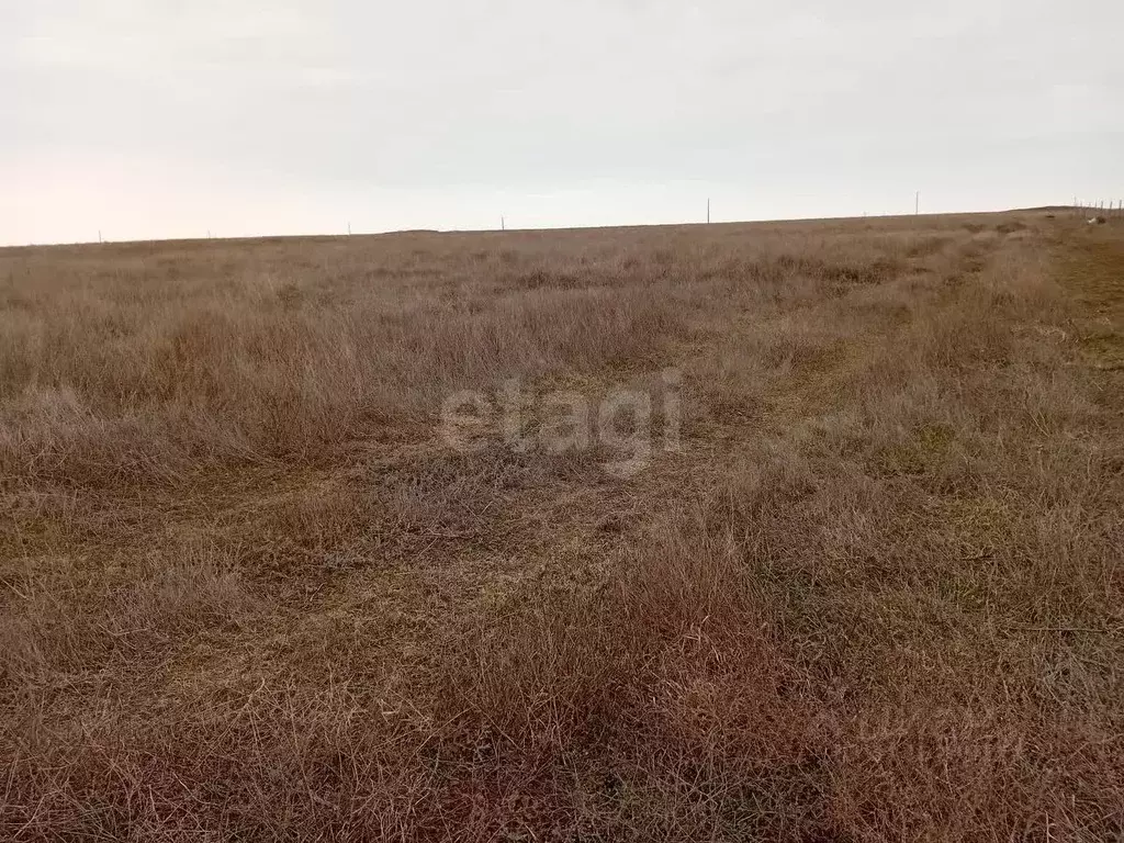 Участок в Крым, Сакский район, с. Суворовское  (6.0 сот.) - Фото 0