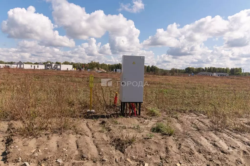 Участок в Алтайский край, Первомайский район, с. Фирсово ул. Ивана ... - Фото 1