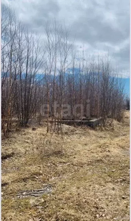 Участок в Хабаровский край, Ульчский район, с. Богородское Таежная ... - Фото 1