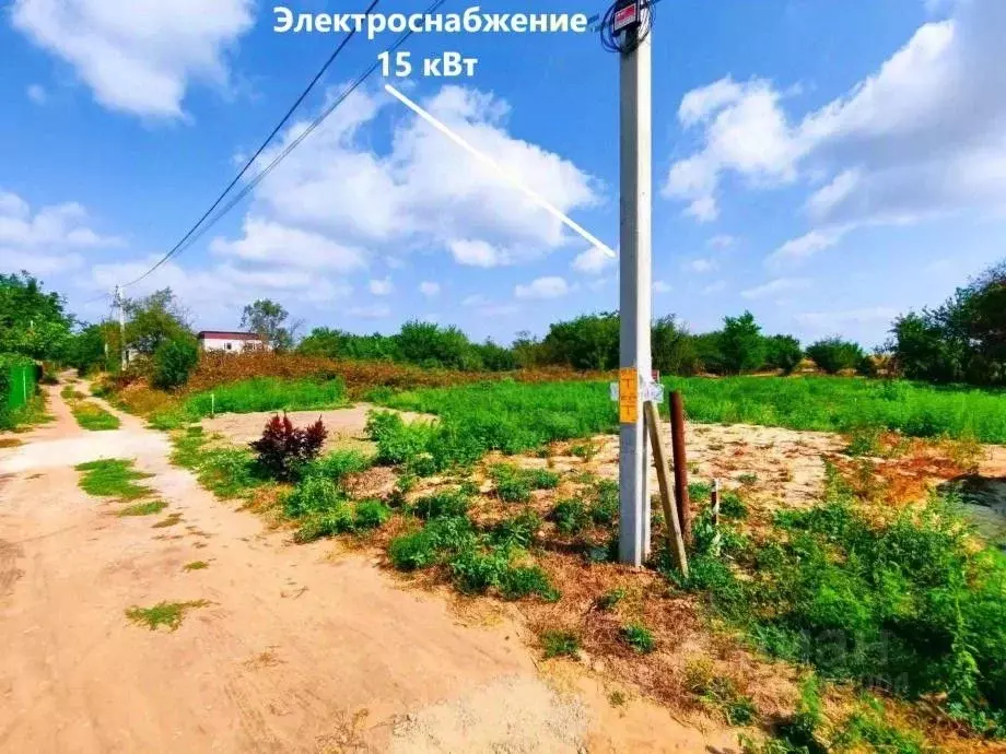 Участок в Краснодарский край, Темрюк Автомобилист СНТ, ул. Ореховая, ... - Фото 2