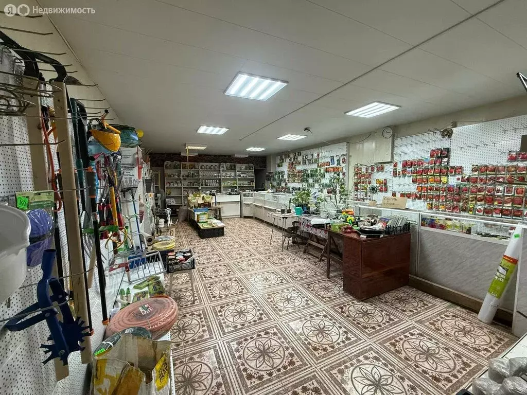 Помещение свободного назначения (230 м) - Фото 1