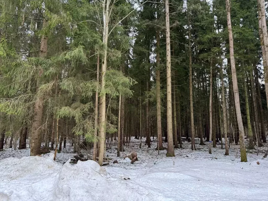 Участок в Москва Вузсервис СНТ, 155 (12.0 сот.) - Фото 1