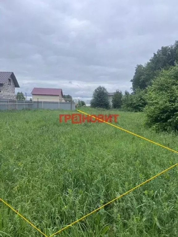 Участок в Новосибирская область, Новосибирский район, Криводановский ... - Фото 1