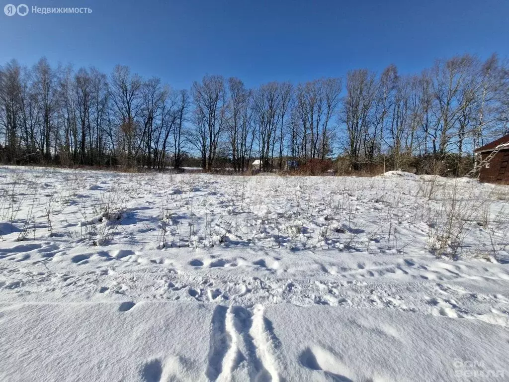 Участок в Выборгский район, Приморское городское поселение, посёлок ... - Фото 0