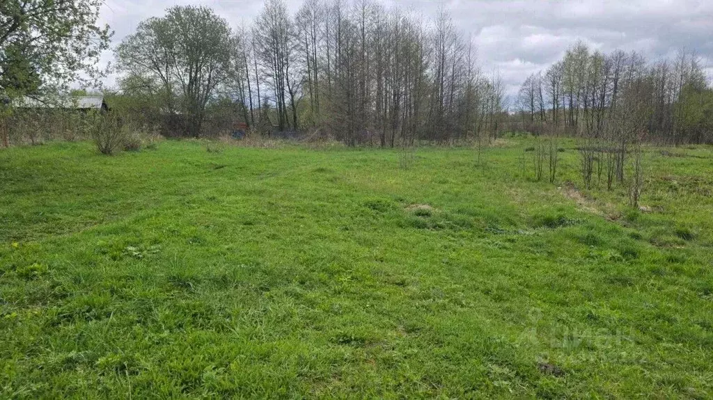 Участок в Московская область, Ступино городской округ, д. Дубнево, ... - Фото 0