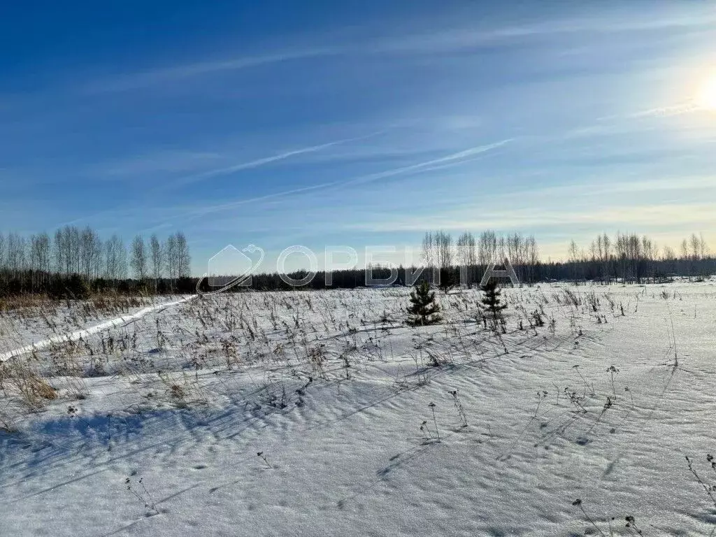 Участок в Тюменская область, Тюменский район, с. Горьковка Сибирская ... - Фото 1