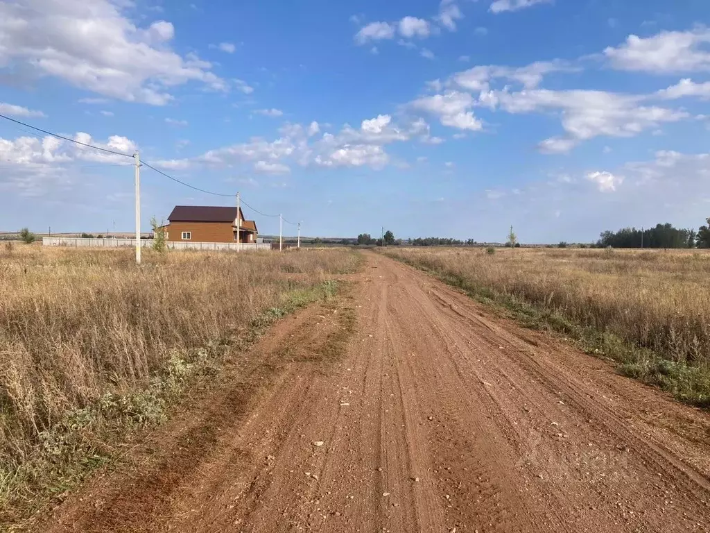 Участок в Оренбургская область, с. Октябрьское ул. Тихая (12.0 сот.) - Фото 1