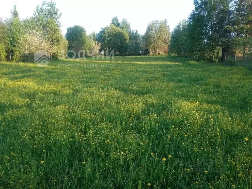 Участок в Чувашия, Чебоксарский муниципальный округ, д. Малое ... - Фото 1