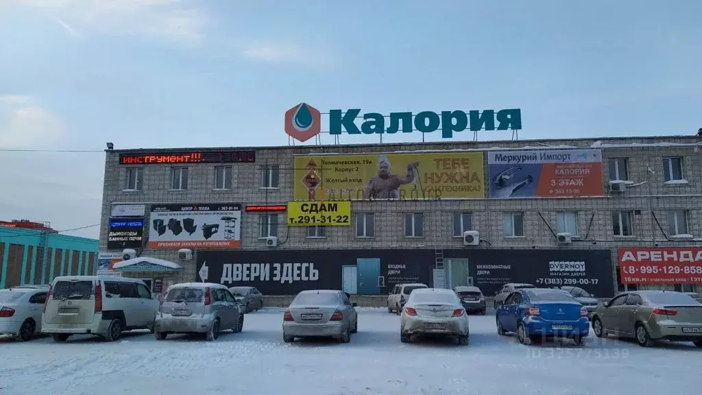 Офис в Новосибирская область, Новосибирск Толмачевская ул., 19А (67 м) - Фото 1