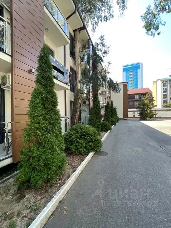 1-к кв. Краснодарский край, Сочи ул. Ленина, 219А/1 (45.0 м) - Фото 1