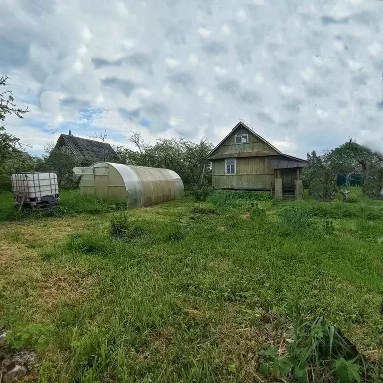 Участок в Ленинградская область, Тосно г. Тосненский район, Тосненское ... - Фото 1