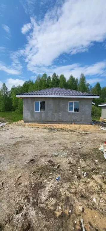 Дом в Нижегородская область, Богородский муниципальный округ, д. Пруды ... - Фото 0