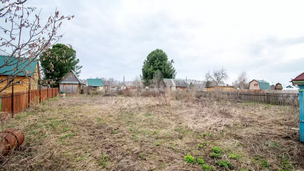 Участок в Томский район, садовое товарищество Заря (6 м) - Фото 0