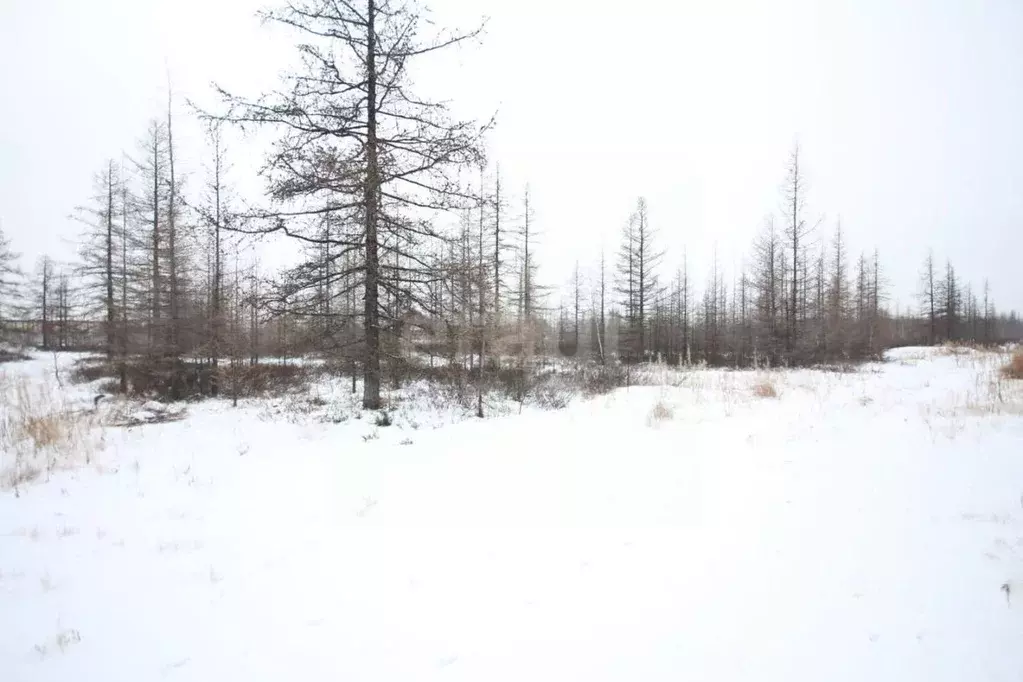 Участок в Ямало-Ненецкий АО, Новый Уренгой Титан ДНТ, 149 (6.0 сот.) - Фото 1