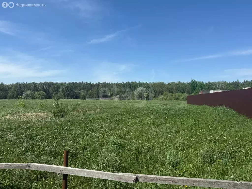 Участок в село Столовое, Садовая улица (25 м) - Фото 1