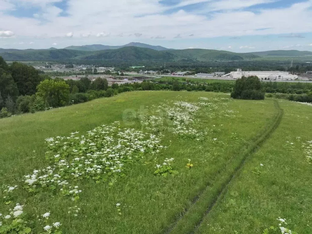 Участок в Алтай, Майминский район, с. Майма  (8.0 сот.) - Фото 1