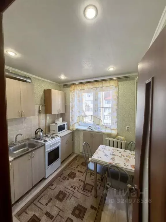 1-к кв. Тамбовская область, Тамбов ул. Гоголя, 33 (33.0 м) - Фото 1