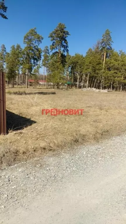 Участок в Новосибирская область, Ордынское рп ул. Октябрьская, 103А ... - Фото 0