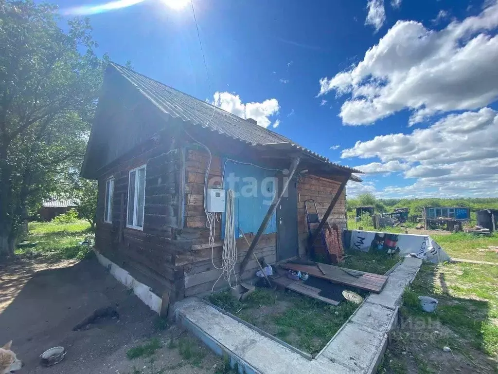 Дом в Амурская область, Белогорск городской округ, с. Низинное  (40 м) - Фото 1
