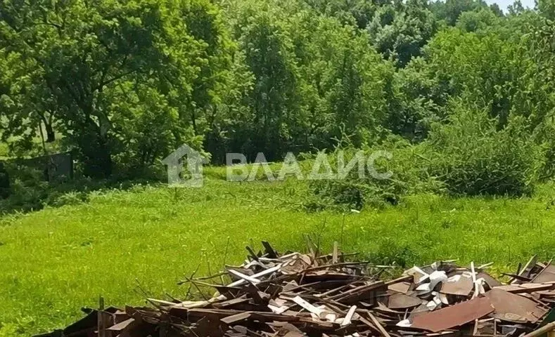 Участок в Воронежская область, с. Новая Усмань ул. Октябрьская (32.0 ... - Фото 2