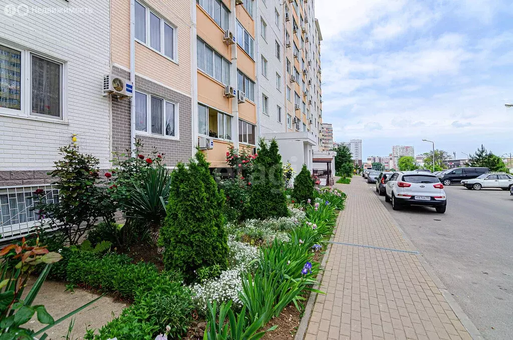 Квартира-студия: Анапа, Супсехское шоссе, 26к5 (20 м) - Фото 2
