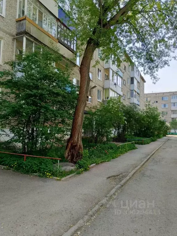 2-к кв. Пермский край, Краснокамск ул. Победы, 5 (36.8 м) - Фото 1