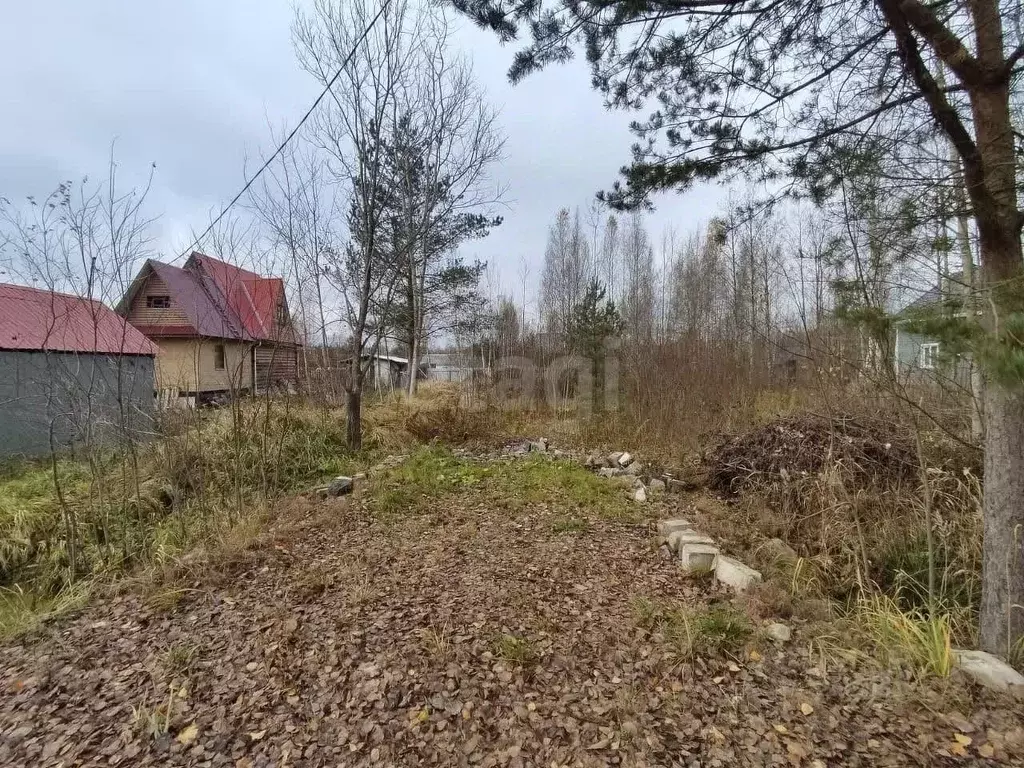 Участок в Ленинградская область, Кировское городское поселение, ... - Фото 1