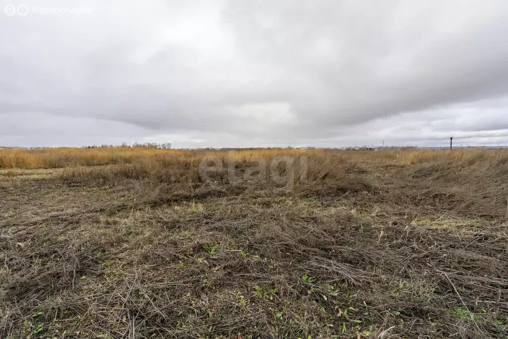 Участок в Тукаевский район, деревня Азьмушкино, микрорайон Подсолнухи, ... - Фото 0