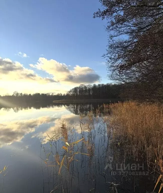 Дом в Псковская область, Пустошкинский район, Пригородная волость, д. ... - Фото 2