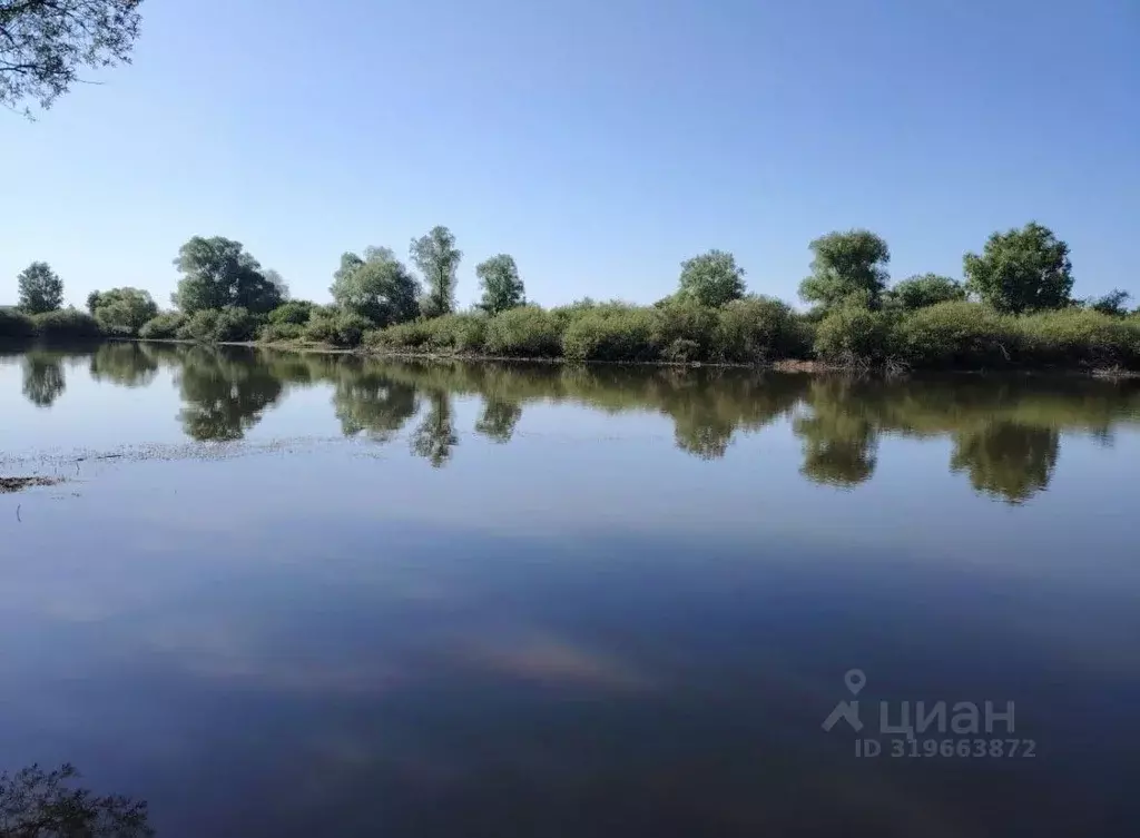 Участок в Пензенская область, Шемышейский район, с. Синодское  (2120.0 ... - Фото 0